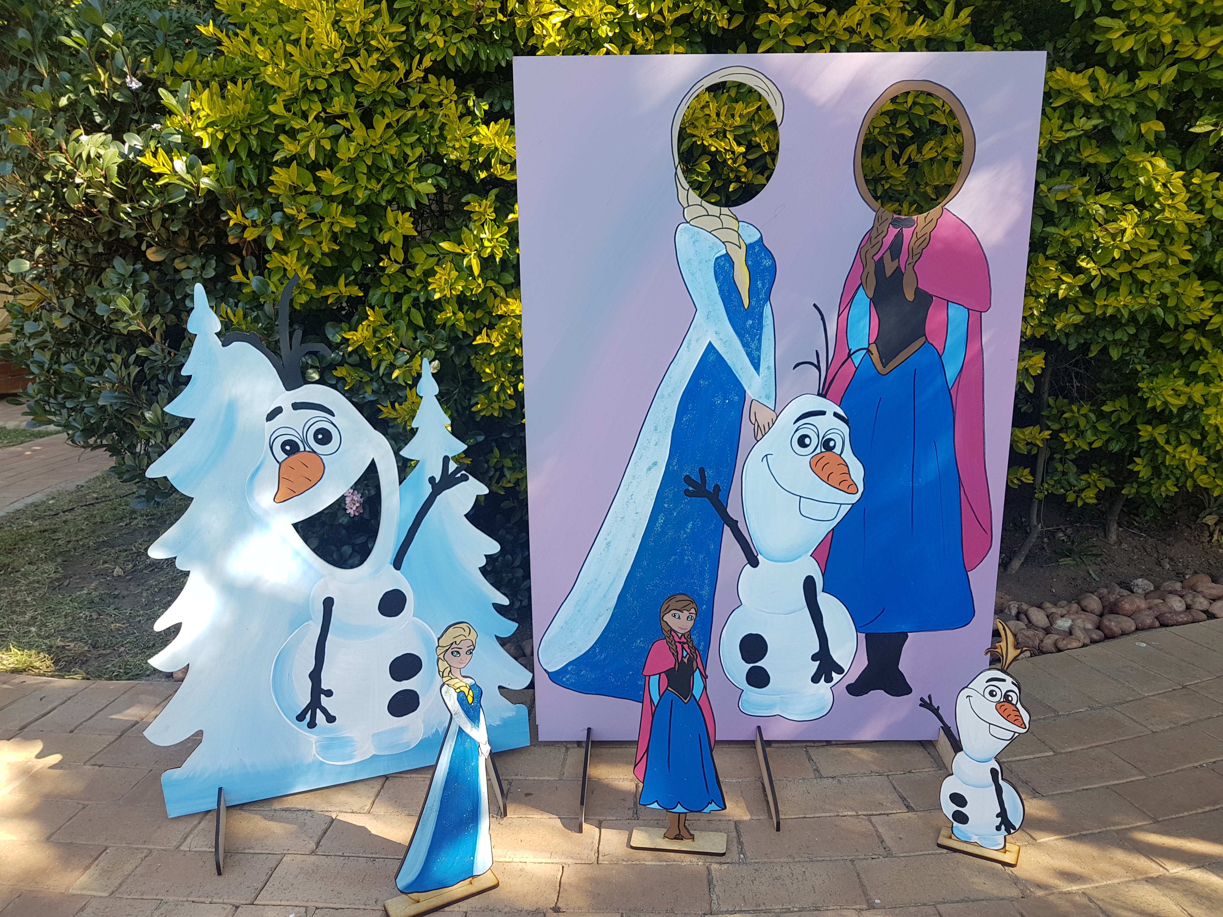 Frozen themed photo boards